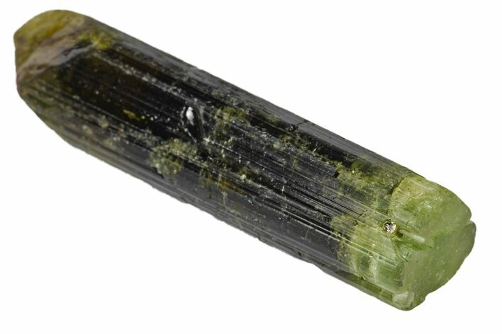 Beautiful Bicolored Dravite-Elbaite Crystal - Tanzania #131545